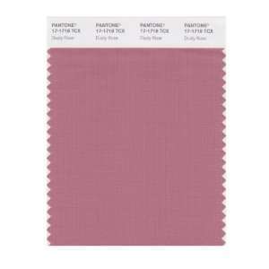   PANTONE SMART 17 1718X Color Swatch Card, Dusty Rose