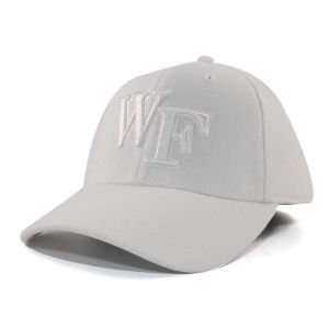  Wake Forest Demon Deacons NCAA White On White Tonal Hat 