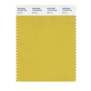  PANTONE SMART 14 0740X Color Swatch Card, Bamboo