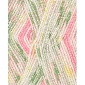   Baby Jacquards Yarn 06230 Spearmint Candy Arts, Crafts & Sewing