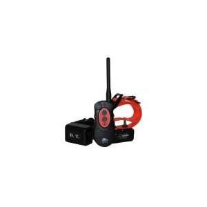  D.T. Systems H2O 2 Dog 1 Mile Remote Trainer with Rise and 