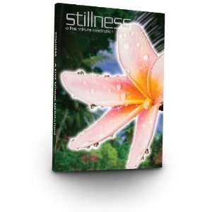  Stillness A Five Minute Meditation