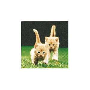  Forwards Kitten Lunch Napkins