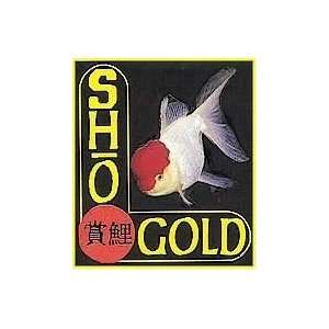  Sho Koi Gold   Sinking