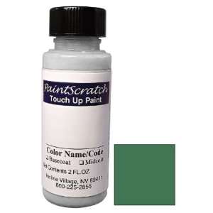   Touch Up Paint for 2006 Nissan X Trail (color code DW0) and Clearcoat