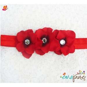  Ema Jane (Jewel Centered (Red)) Cute Triple Hydrangea 