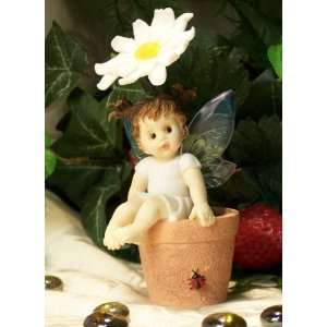  Kitchen Fairy On Sunflower Pot
