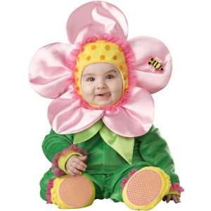  Baby Blossom Flower Costume Size 18M 2T 