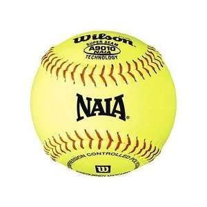  12 NAIA Yellow Leather Pony League Slow Pitch Play 