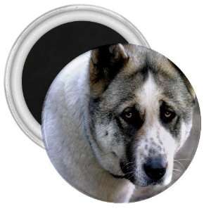  Akita 3in Magnet S0006 