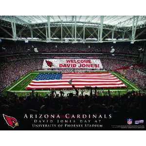 Personalized Arizona Cardinals Stadium Print  Sports 