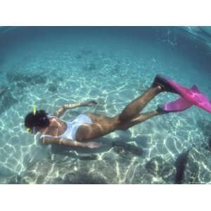  Snorkeling the Bimini Road, North Bimini, out Islands of the 