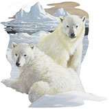 Polar Bears Sweatshirt Hoodie Animal Shirts SM 3XL  