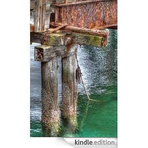    Tracy J. Thomas Photography Blog Kindle Store Tracy J. Thomas