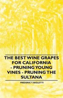   The Best Wine Grapes For California   Pruning Young 