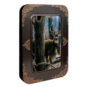   Inches, Woodland Sentry Buck, Multi Color (76000)