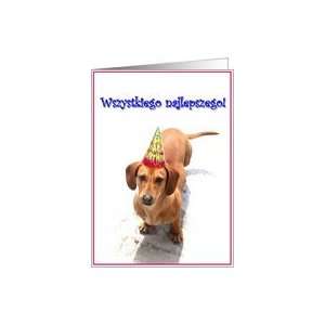 Wszystkiego najlepszego Dachshund Card