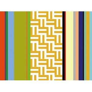    Striped Key   Poster by Dan Bleier (48 x 36)