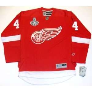 Aaron Downey Detroit Red Wings 09 Cup Jersey Real Rbk   Medium