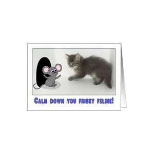 Calm Down You Frisky Feline Card