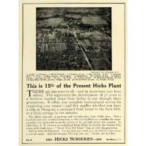 1924 Ad Hicks Nurseries Ariel View Acreage Horticulture 
