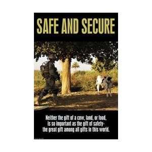  Safe & Secure 20x30 poster