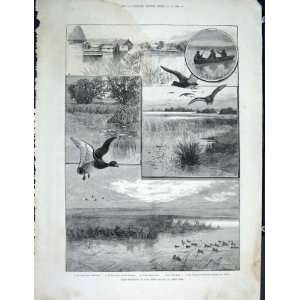  Duck Shooting Long Point Island Lake Eire Print 1889
