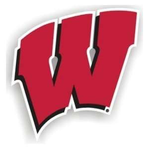  Wisconsin Badgers 12 Car Magnet Made of Heavy Gauge Magnetic 