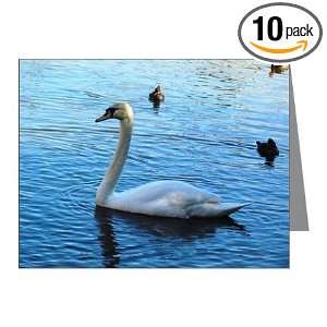  White Swan Blank Note Card (Set of 10) 4.25 X 5.5 