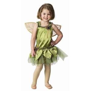 Lets Party By Aeromax Garden Fairy with Detachable Wings Toddler/Child 