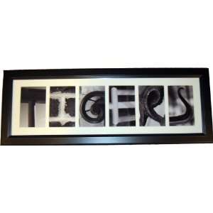  Tigers Framed Art 