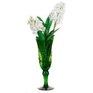 12 Hyacinth x2 in Green Glass Vase White (Pack of 6)