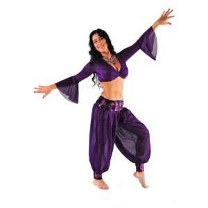  Belly Dancer Costume Set  Harem Pants & Top  Gobordella 
