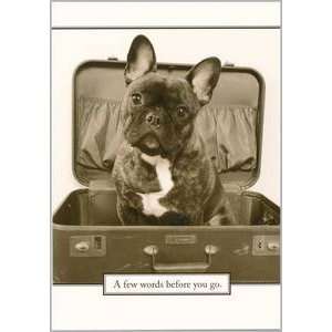  Goodbye Greeting Card Goodbye Dog In Suitcase Everything 