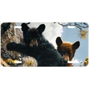 3164 High Adventure Bear License Plate Car Auto Novelty Front Tag by 