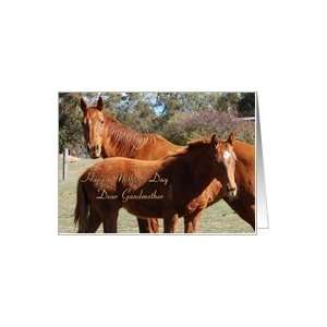  Grandmother Mothers Day   Mare & Foal Card Health 