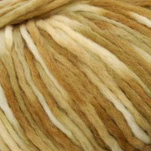  Zitron Loft Color Yarn 565 Earth Arts, Crafts & Sewing