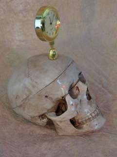 skull with clock great desk top item who says death has no time