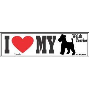  I Love My Welsh Terrier Bumper Sticker Automotive
