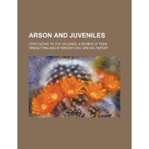 com Arson and juveniles responding to the violence a review of teen 