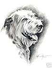 Irish Wolfhound Dog by Malcom Nicholson 1935 Note Cards  