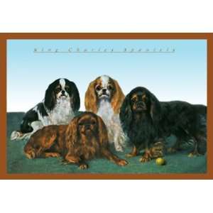  King Charles Spaniels 20x30 Poster Paper