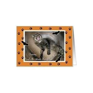  Howl O Ween for Neighbor, Howling Halloween Cat Card 