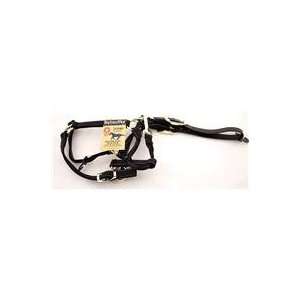  REFLECTIVE ADJUSTABLE HALTER W/ LEATHER HEAD POLL, Color 