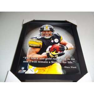  2012 Pittsburgh Steelers Hines Ward Photo Ready to Display 