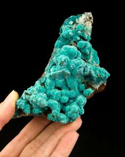   Turquoise ROSASITE Botryoidal Crystal Mounds Mexico for sale  