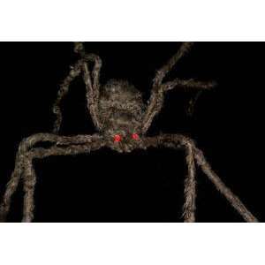   Huge Hairy Spider Light Up Eyes Halloween Decoration