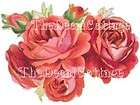   RED CABBAGE ROSES DECALS * shabby VINTAGE chic images waterslides