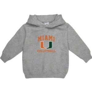   Hurricanes Sport Grey Toddler/Kids Volleyball Arch Hooded Sweatshirt