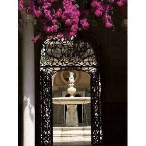  View Through Wrought Iron Gateway to the Patio Principal 